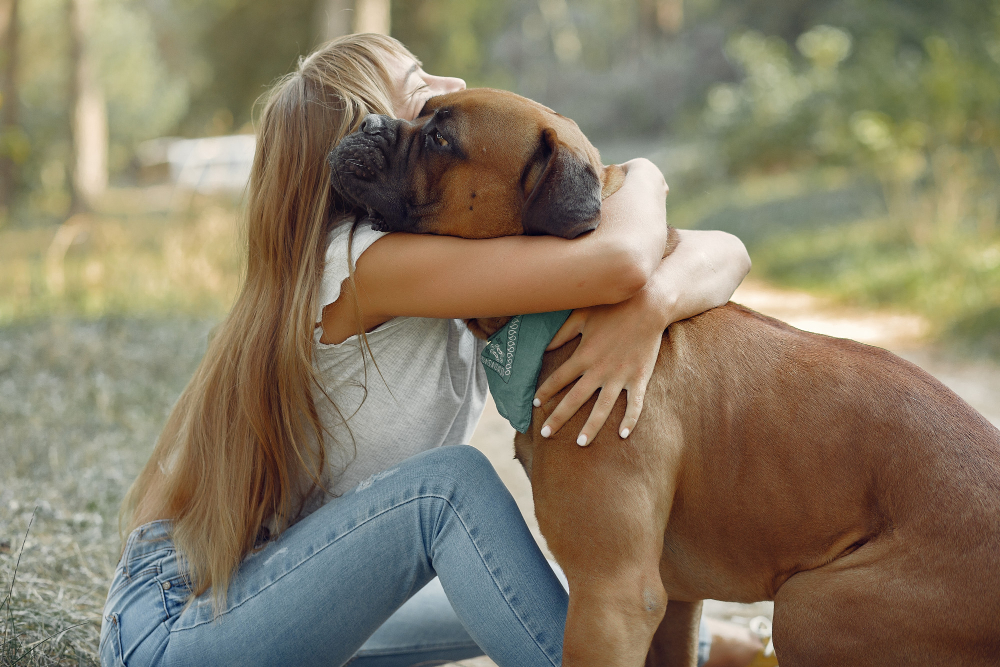 Dogoterapia – co to jest, dla kogo, jak i kiedy ją stosować